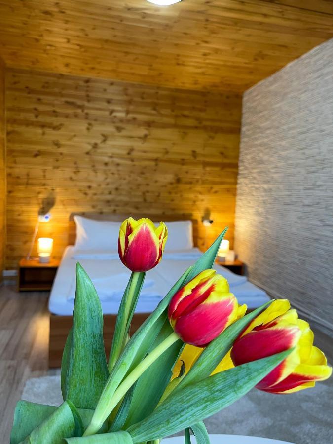 Somogyi Vendeghaz Bed & Breakfast Bancu Exterior foto
